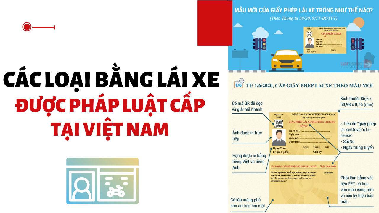 Các loại bằng lái xe ô tô Việt Nam được cấp